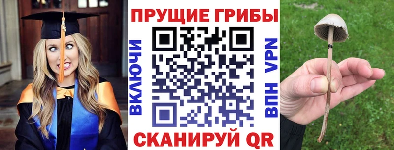 Галлюциногенные грибы мухоморы Володарск